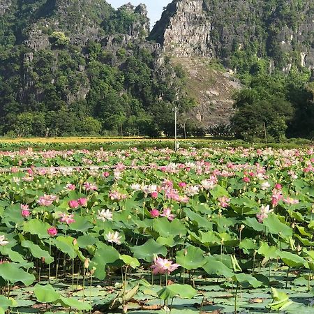 Tam Coc - Thanh Homestay Ninh Binh Bagian luar foto