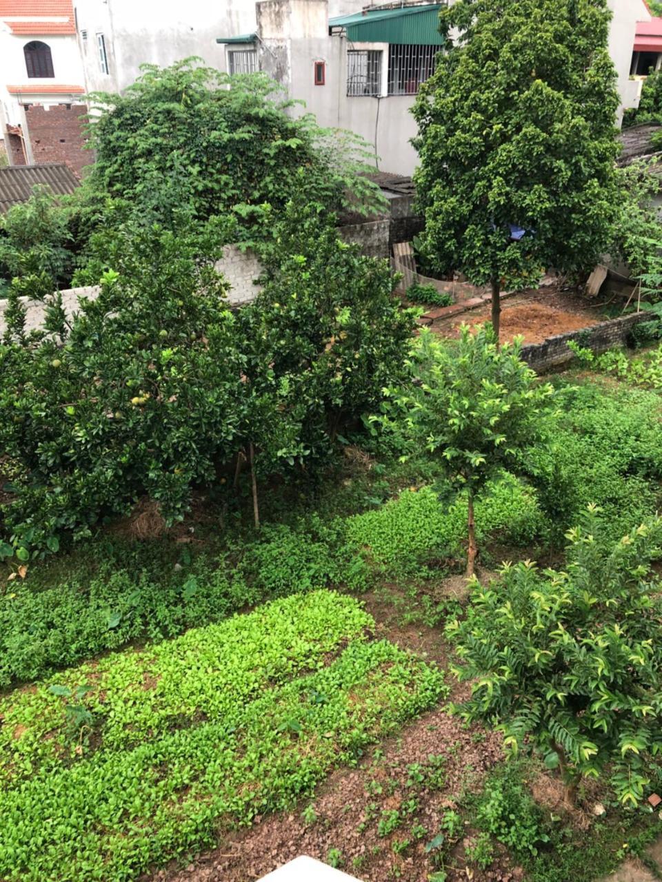 Tam Coc - Thanh Homestay Ninh Binh Bagian luar foto
